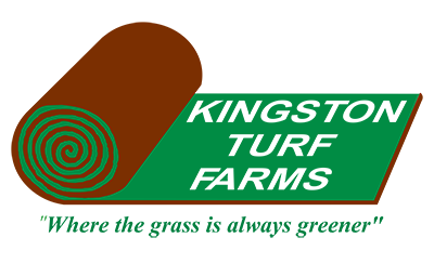 Kingston Turf Farms
